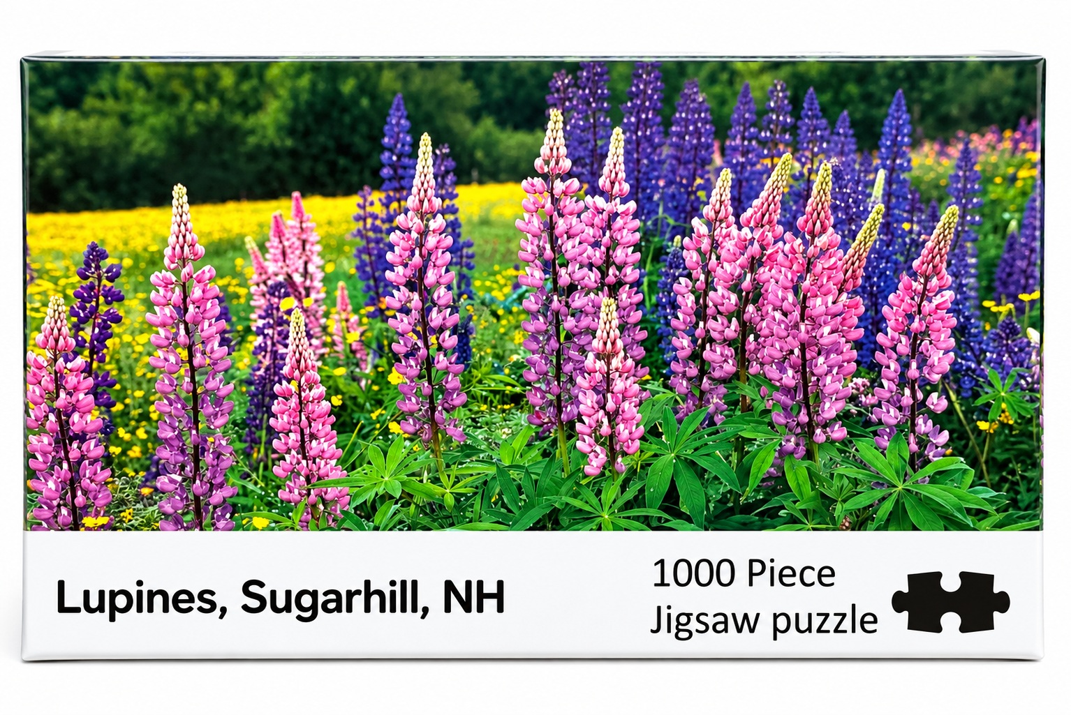 Lupines SUGARHILL puzzle