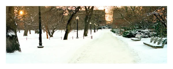 Boston Common by Twilight Panoramic Print