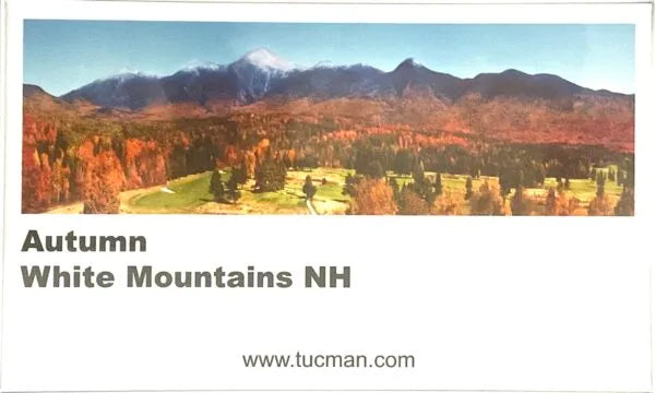 White Mountain Autumn Puzzle