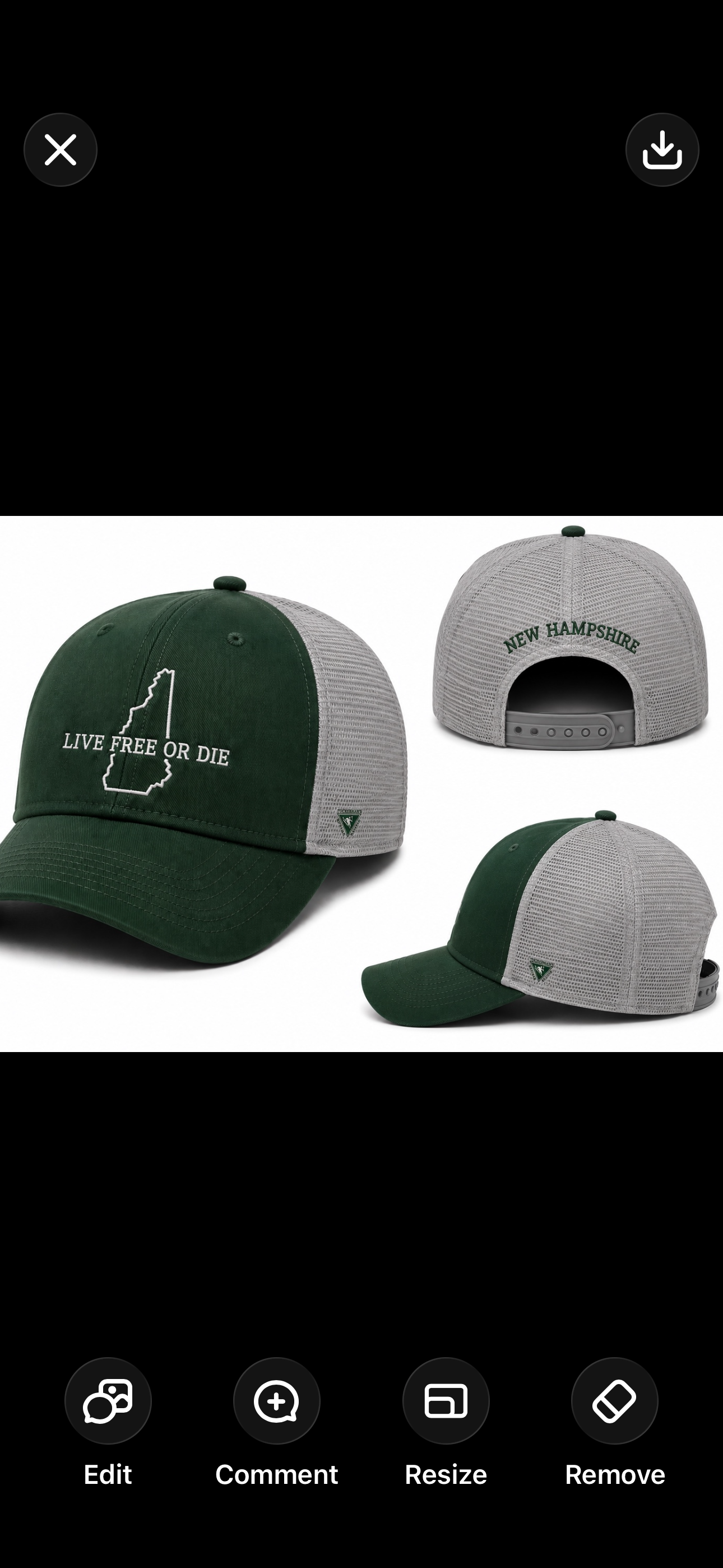 New Hampshire trucker  hat