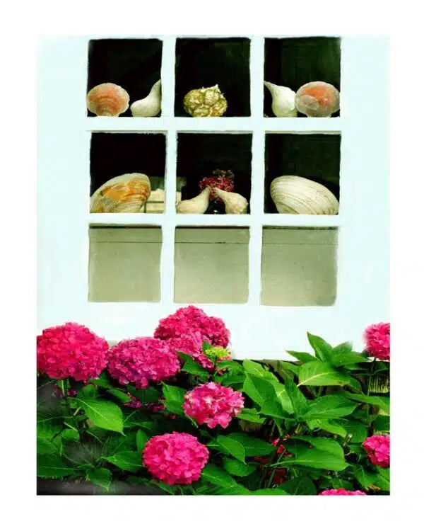Seashells in the Window