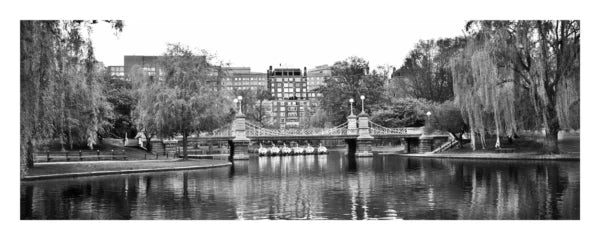 Swan Boats Panoramic Print