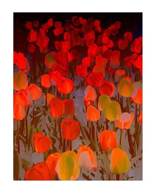 Tulips Orange Surrealism