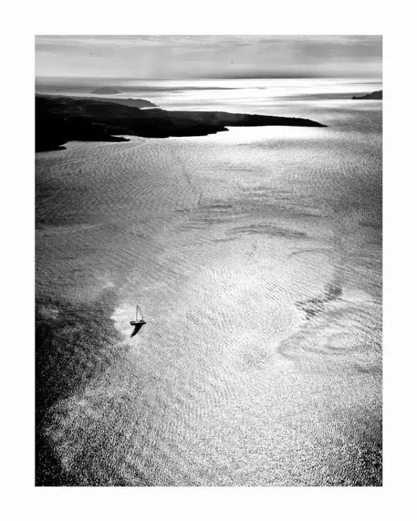 Flight of the Phoenix