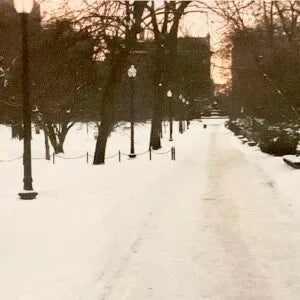 Dusk in the Winter, Boston Common. BO 266