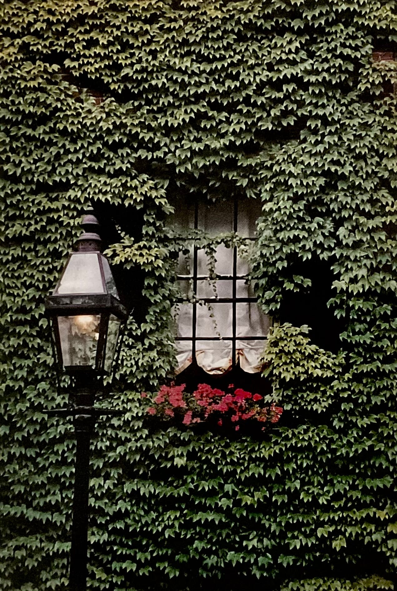 Ivy League, Boston MA BO 237