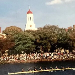 Race Day, Harvard, Charles River Regatta, Cambridge MA. BO 241