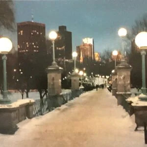 Winter in the City, Footbridge, Boston Public Gardens. BO 270