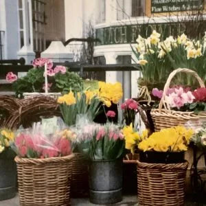 Newbury Street, Boston MA. BO 202