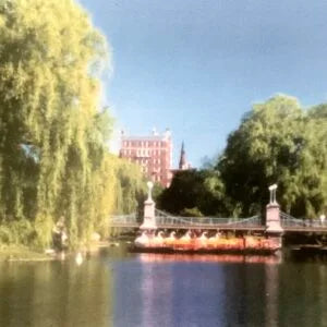 Swan Boat, Boston Public Gardens, Boston MA BO 204